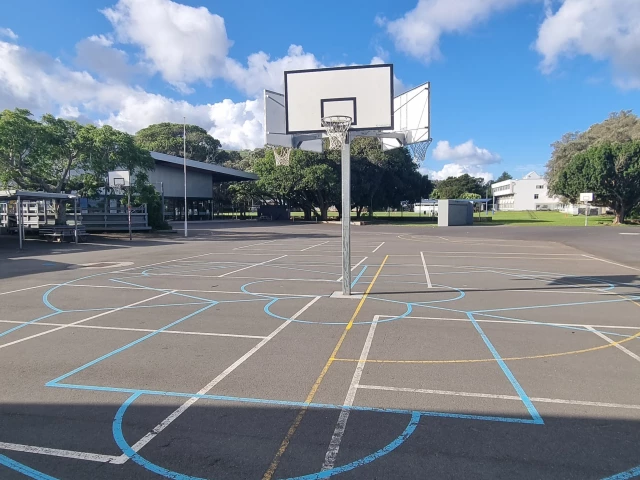 Profile of the basketball court Playground School, Auckland, New Zealand