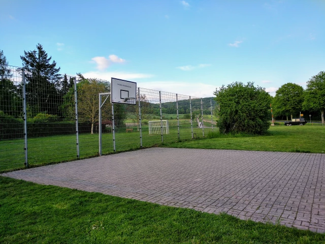 Profile of the basketball court Förderverein Ballspiel-Anlage Stumpfe Eiche e.V., Göttingen, Germany
