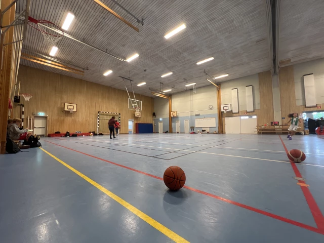 Profile of the basketball court Tunabergsskolans idrottshall, Uppsala, Sweden