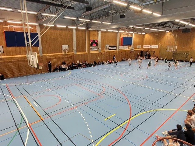 Profile of the basketball court Sparbanken Skåne Arena, Lund, Sweden
