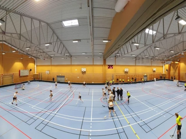 Profile of the basketball court Kärnahallen, Linköping, Sweden
