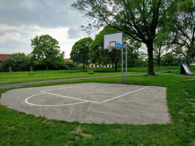 Profile of the basketball court Westpark Hoop, Göttingen, Germany
