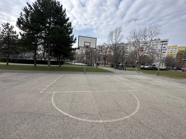 Profile of the basketball court Bartfai Court, Budapest, Hungary