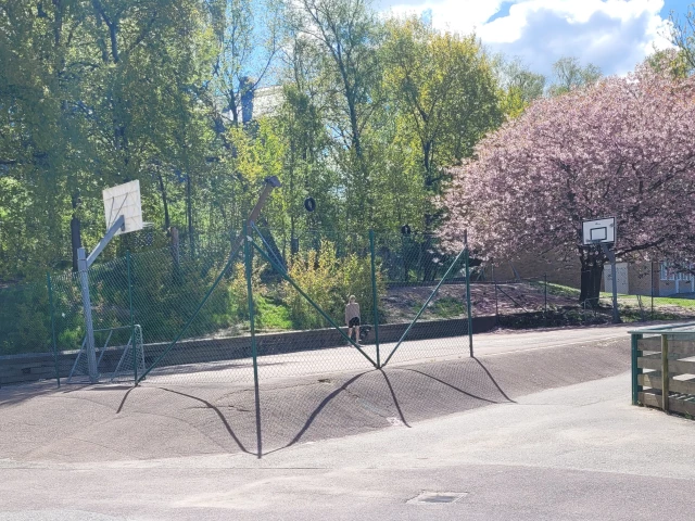 Profile of the basketball court Kålltorpsskolan 2, Göteborg, Sweden