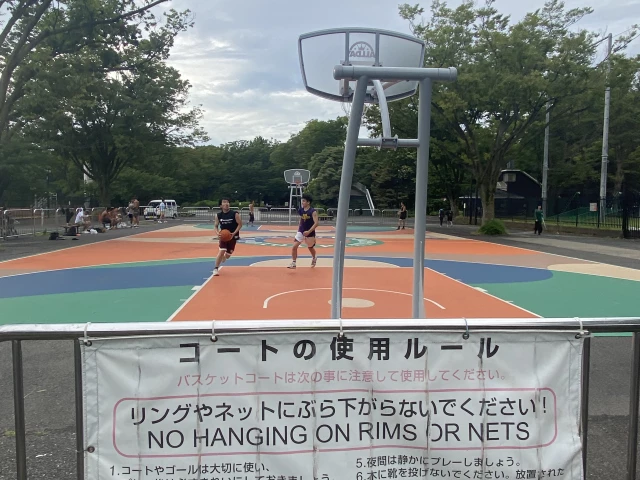 Profile of the basketball court Yoyogi Park, Tokyo, Japan