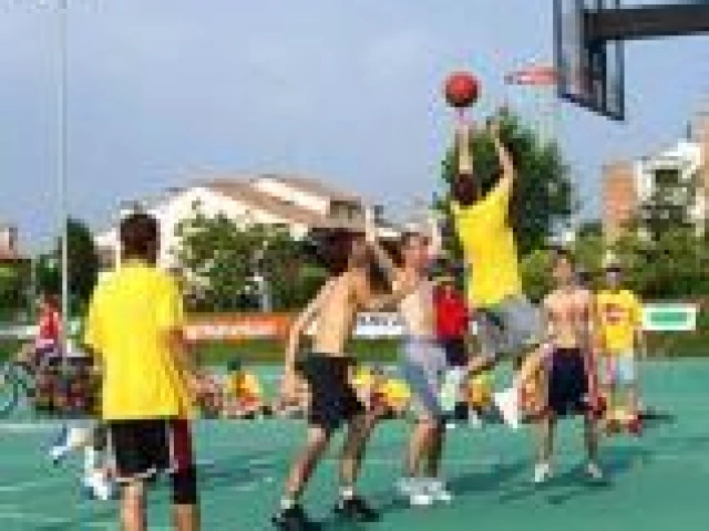 Profile of the basketball court La Girada, Treviso, Italy