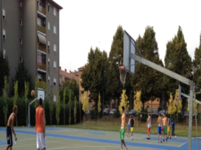 Profile of the basketball court Ardens, Bergamo, Italy