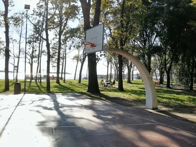 Profile of the basketball court Venice Queen, Venice, Italy