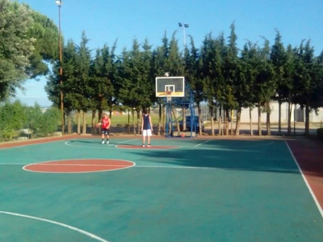 Profile of the basketball court F.Panico Street Court, Galatina, Italy