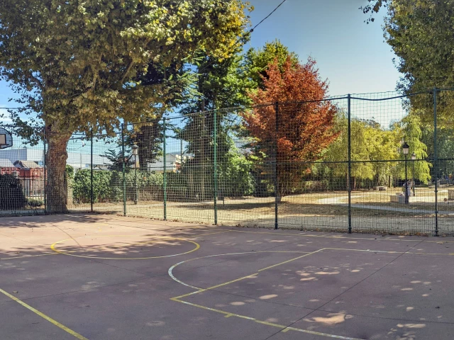 Profile of the basketball court Areal, Vigo, Spain