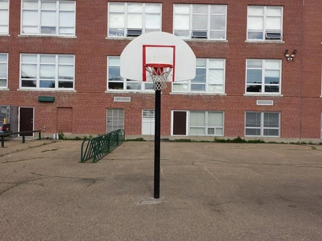 Profile of the basketball court Delton School, Edmonton, Canada
