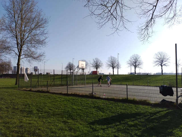 Profile of the basketball court Buizenwerf, Rotterdam, Netherlands