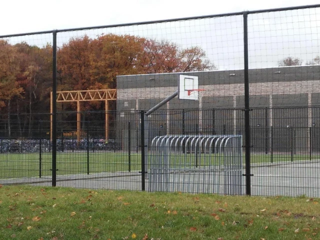 Profile of the basketball court Lariks, Assen, Netherlands