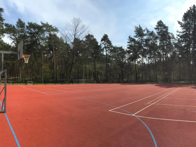 Profile of the basketball court Kattevenia, Genk, Belgium