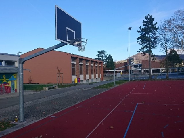 Profile of the basketball court Bezirksschule Frick, Frick, Switzerland