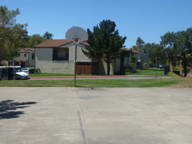 Basketball Court photo 2