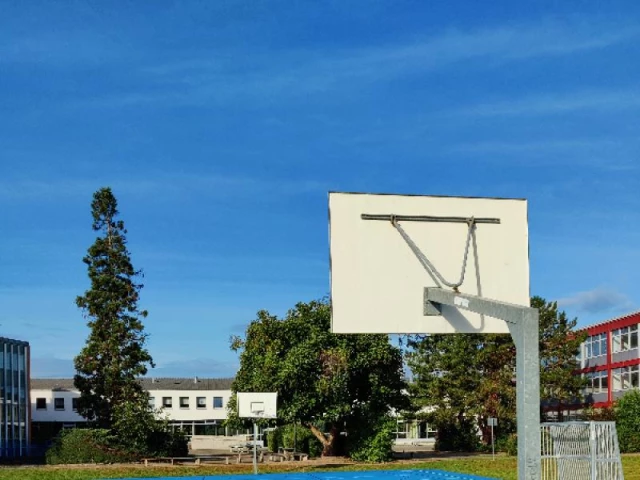 Profile of the basketball court Gymnasium Gernsheim, Gernsheim, Germany