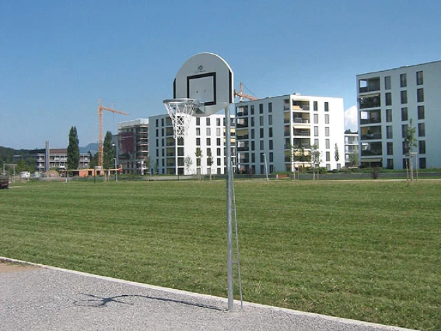 Profile of the basketball court Liebefeld Park, Köniz, Switzerland