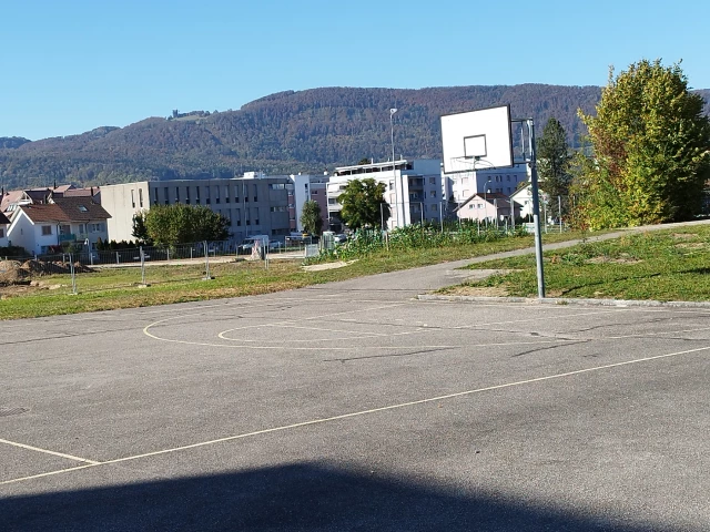 Profile of the basketball court Neumatt, Dulliken, Switzerland
