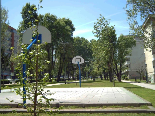 Profile of the basketball court Avenida Castelao, Vigo, Spain