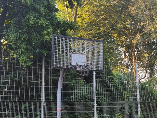 Profile of the basketball court Hohe Eiche / Volkspark, Bochum, Germany