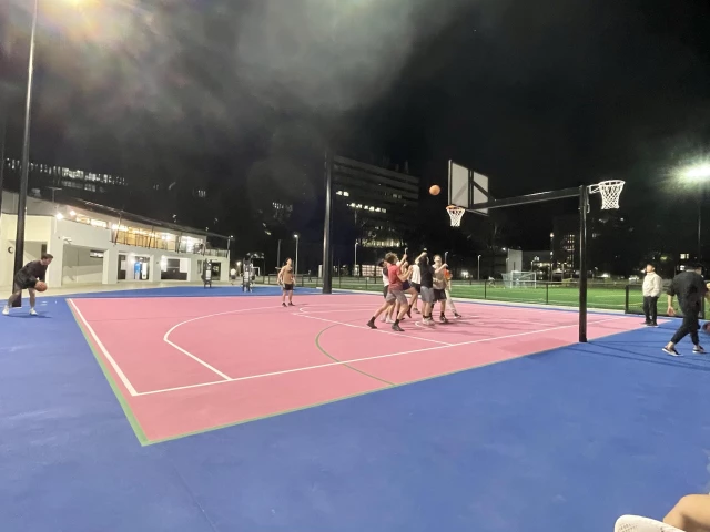 Profile of the basketball court UNSW Outdoor Half-Court, Kensington, Australia