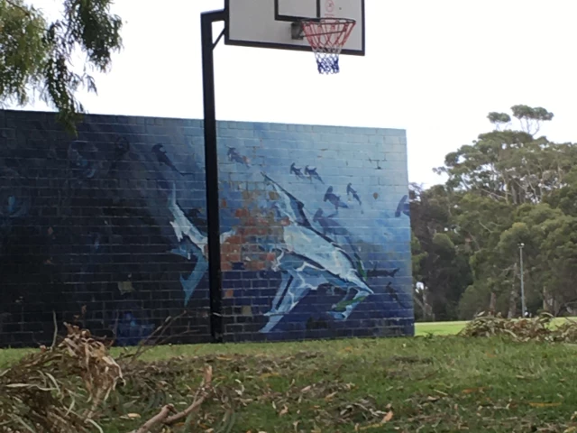 Profile of the basketball court College Park, Nedlands, Australia