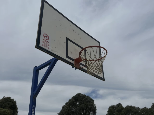 Profile of the basketball court Jerribong Way Playspace, Kangaroo Flat, Australia