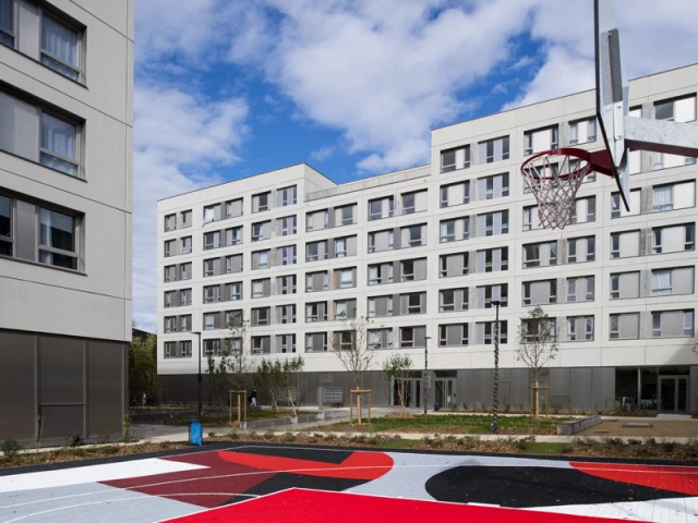 Profile of the basketball court Tony Parker 3x3, Lyon, France