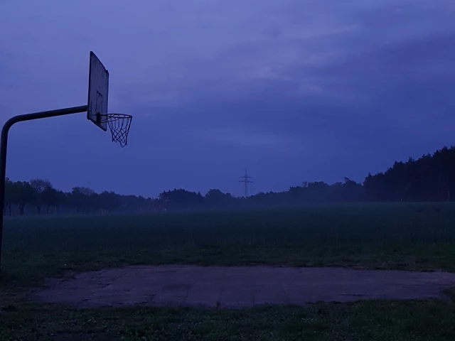 Profile of the basketball court Häcklingen Basketball Korb, Lüneburg, Germany