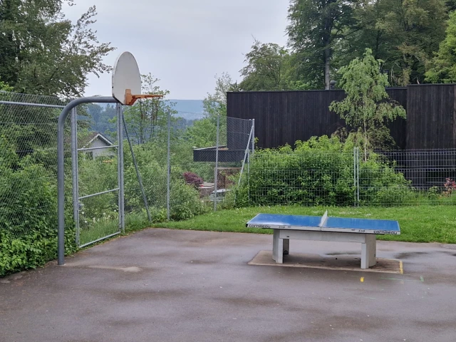 Profile of the basketball court Zopf, Adliswil, Switzerland