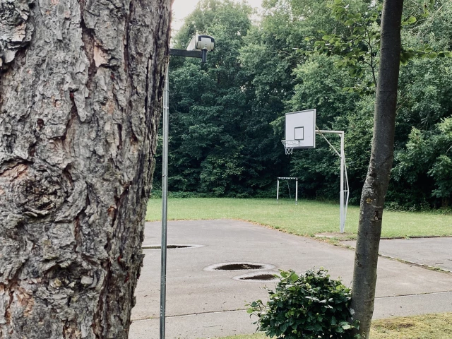 Profile of the basketball court Court 