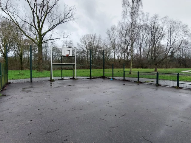 Profile of the basketball court Ariaweg, Amersfoort, Netherlands