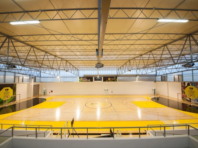 Profile of the basketball court Pavilhão Desportivo do Fontelo, Viseu, Portugal