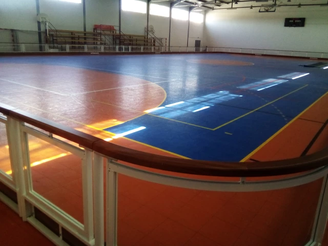 Profile of the basketball court Pavilhão Desportivo Viriato, Viseu, Portugal