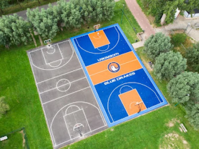 Profile of the basketball court Blue drakes, Woerden, Netherlands