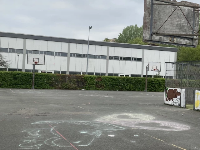 Profile of the basketball court UngGreve - Ungdomsskole, Greve, Denmark