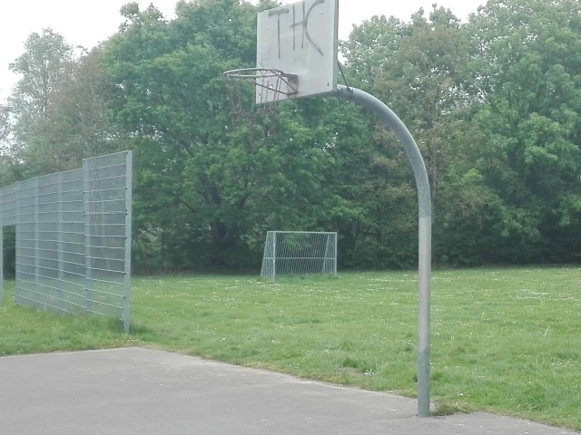 Profile of the basketball court Domäne, Kronshagen, Germany