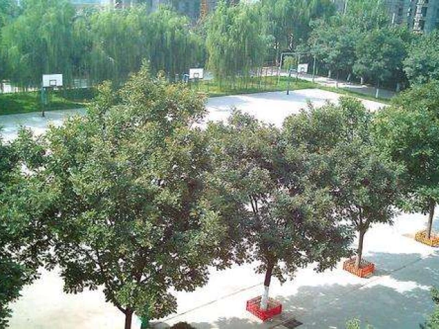 Profile of the basketball court Lijiazhuangcun Courts, Taiyuan, China