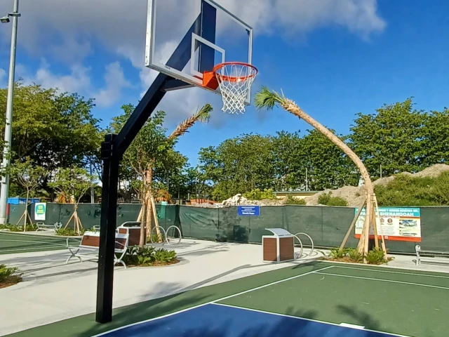 Profile of the basketball court Shenandoah Park, Miami, FL, United States