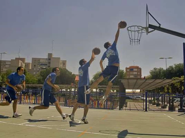 Profile of the basketball court Parque de Madrid, Móstoles, Spain