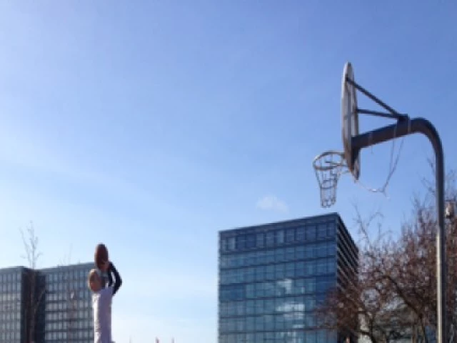 Profile of the basketball court Brygge Ballin, Copenhagen, Denmark