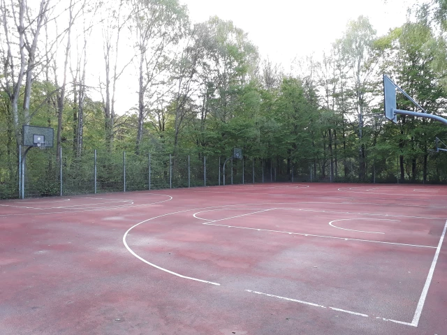 Profile of the basketball court Backumer Tal, Herten, Germany