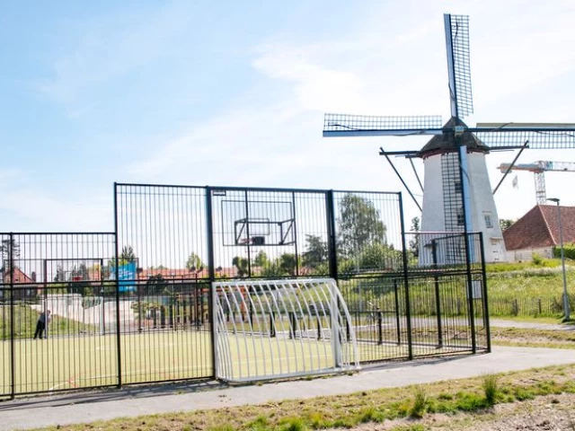 Profile of the basketball court Witte Molen, Sint-Niklaas, Belgium