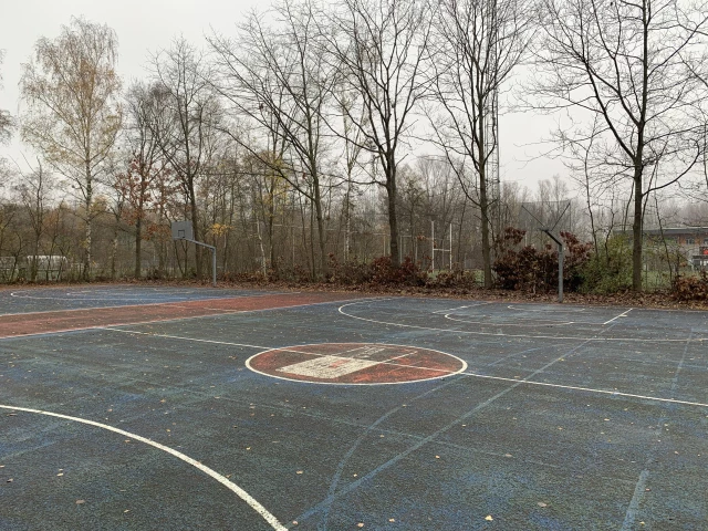 Profile of the basketball court Blaarmeersen, Gent, Belgium