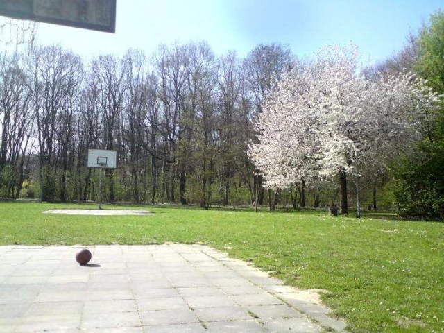 Profile of the basketball court Breitscheidstraße, Brunswick, Germany