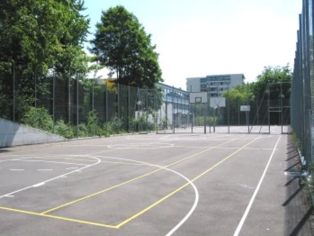 Profile of the basketball court Aubépine, Geneva, Switzerland