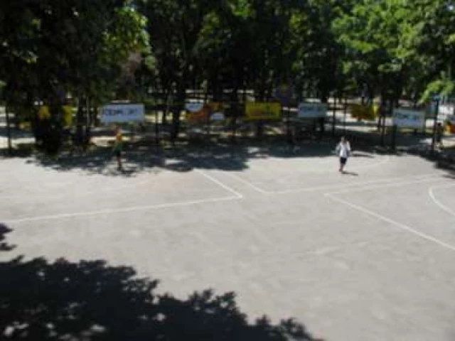 Profile of the basketball court Vishka High, Krasnodar, Russia