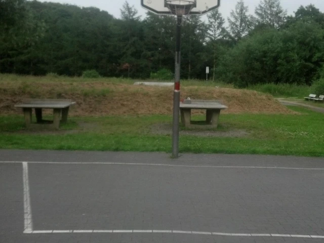Profile of the basketball court Court Skateplatz, Jever, Germany
