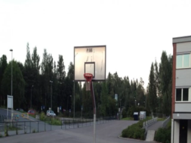 Profile of the basketball court Østerås Skole, Bærum, Norway